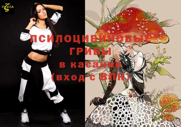 герыч Бронницы