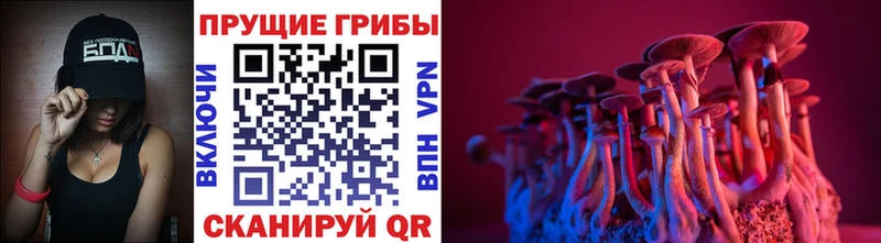 площадка официальный сайт  Химки  Псилоцибиновые грибы прущие грибы 