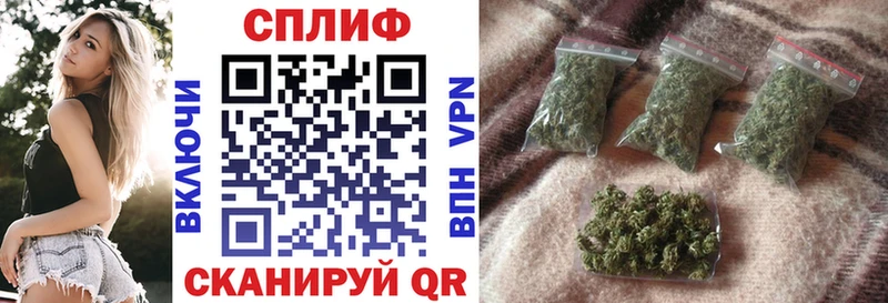 Конопля сатива  Химки 